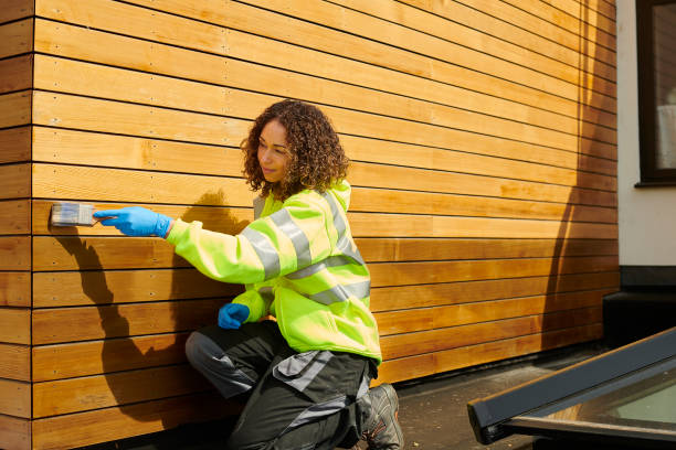 Best Custom Trim and Detailing for Siding  in , MT
